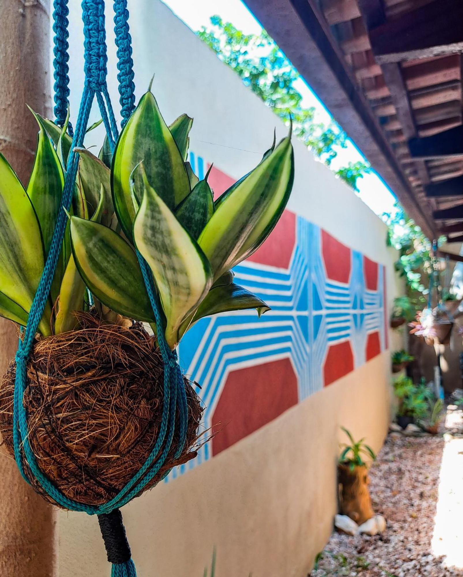 Savana Hostel Sao Jorge  Exterior photo